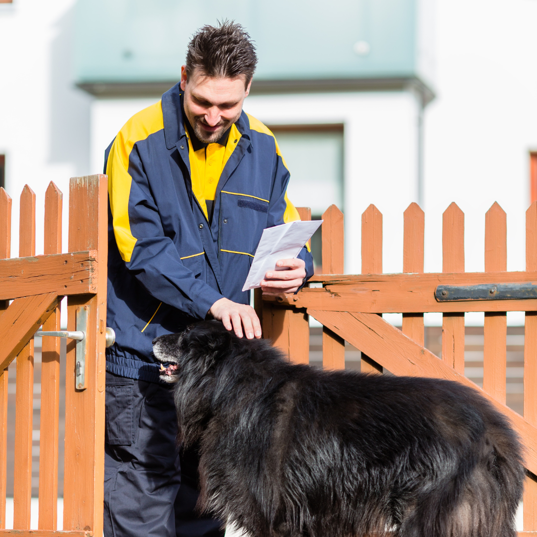 Animal Academy Ads - Per course