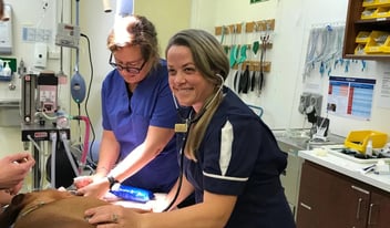 Veterinary Nurse Empowerment
